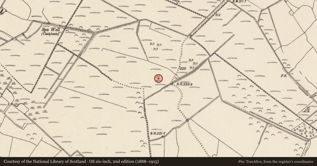 Ordnance Survey six-inch map, 2nd edition (1888–1915) covering the location of Enclosure, Gurteen (Ballingarry Par., North Riding), County Tipperary North, with a pin at the register's coordinates