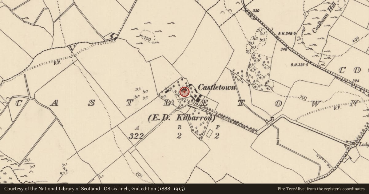 Ordnance Survey six-inch map, 2nd edition (1888–1915) covering the location of House - fortified house, Castletown (Kilbarron Par.), County Tipperary North, with a pin at the register's coordinates