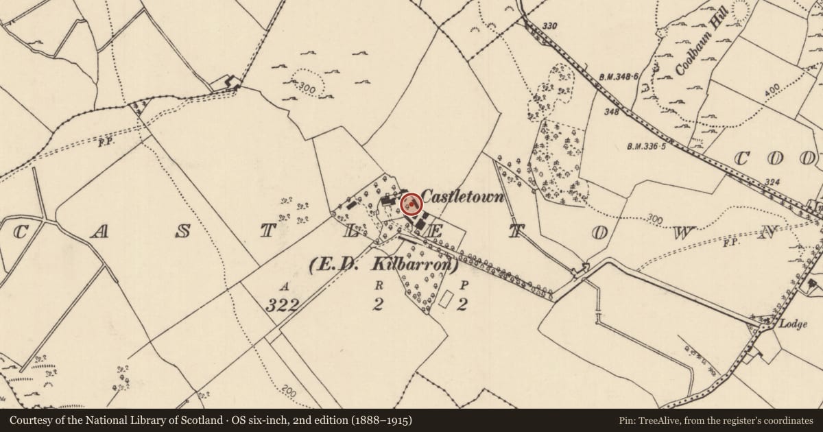 Ordnance Survey six-inch map, 2nd edition (1888–1915) covering the location of Bawn, Castletown (Kilbarron Par.), County Tipperary North, with a pin at the register's coordinates