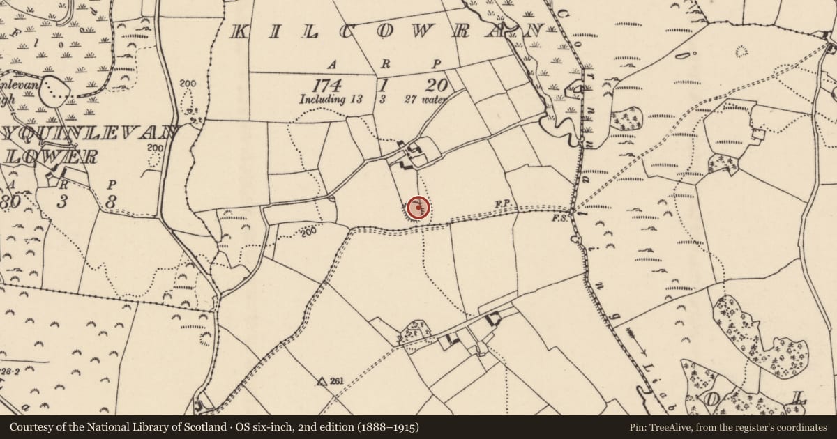 Ordnance Survey six-inch map, 2nd edition (1888–1915) covering the location of Ringfort - rath, Kilcowran, County Tipperary North, with a pin at the register's coordinates
