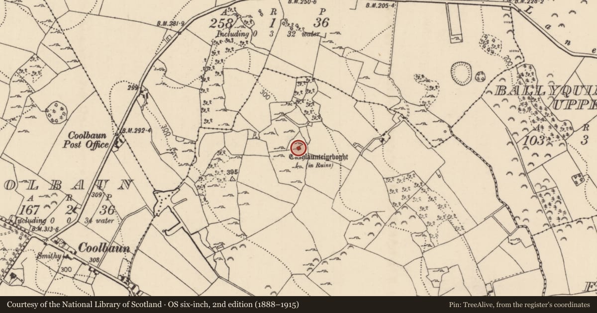 Ordnance Survey six-inch map, 2nd edition (1888–1915) covering the location of Castle - tower house, Lisquillibeen, County Tipperary North, with a pin at the register's coordinates