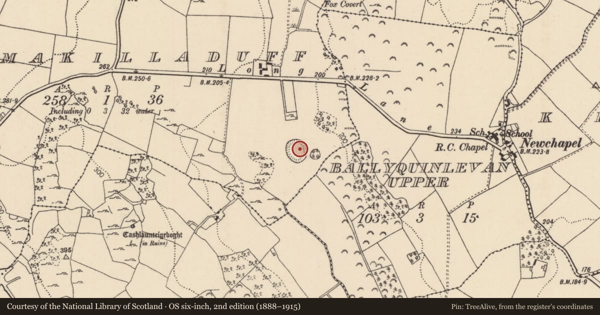 Ordnance Survey six-inch map, 2nd edition (1888–1915) covering the location of Ringfort - rath, Clonmakilladuff, County Tipperary North, with a pin at the register's coordinates