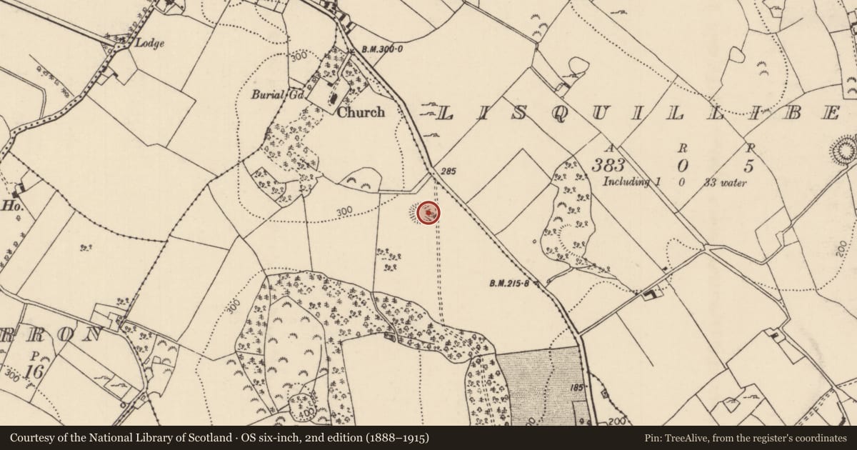 Ordnance Survey six-inch map, 2nd edition (1888–1915) covering the location of Enclosure, Kilbiller, County Tipperary North, with a pin at the register's coordinates
