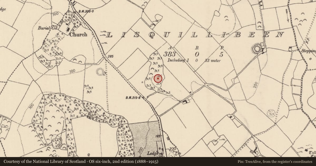 Ordnance Survey six-inch map, 2nd edition (1888–1915) covering the location of Enclosure, Lisquillibeen, County Tipperary North, with a pin at the register's coordinates