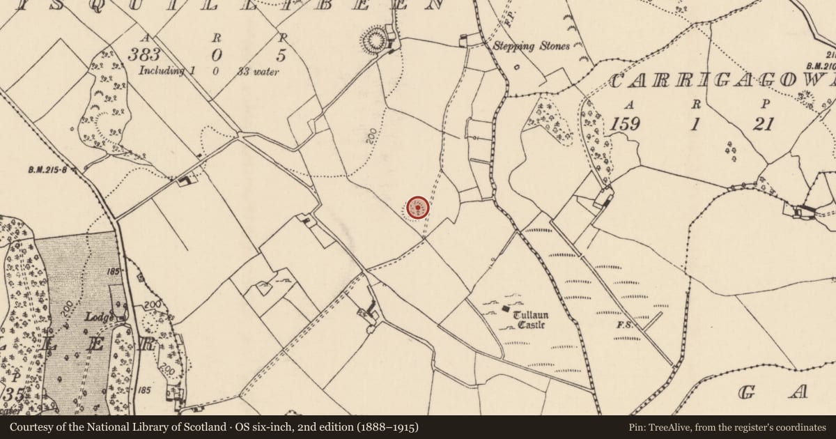 Ordnance Survey six-inch map, 2nd edition (1888–1915) covering the location of Enclosure, Lisquillibeen, County Tipperary North, with a pin at the register's coordinates