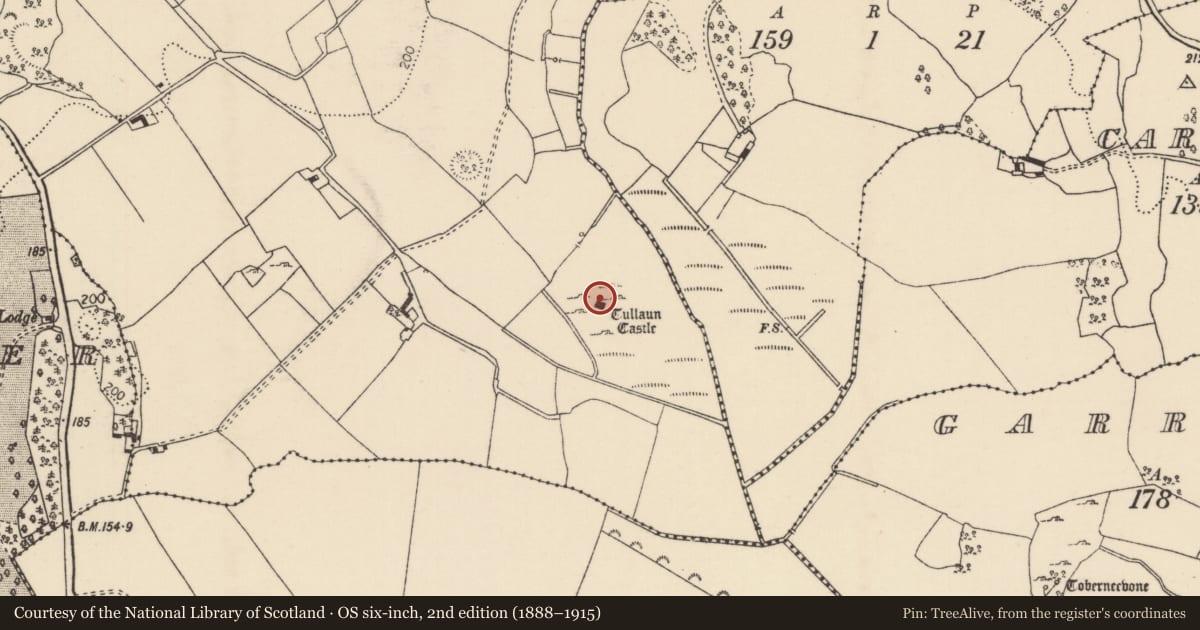 Ordnance Survey six-inch map, 2nd edition (1888–1915) covering the location of Castle - tower house, Lisquillibeen, County Tipperary North, with a pin at the register's coordinates
