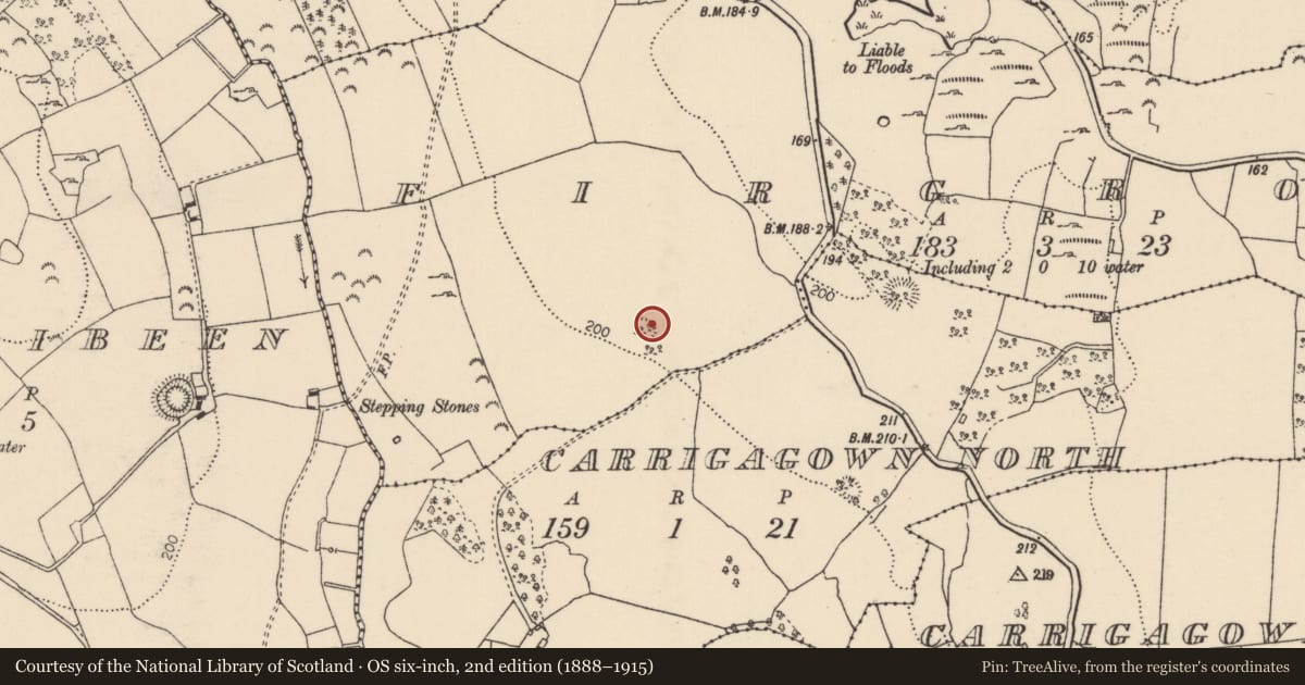 Ordnance Survey six-inch map, 2nd edition (1888–1915) covering the location of Enclosure, Firgrove, County Tipperary North, with a pin at the register's coordinates