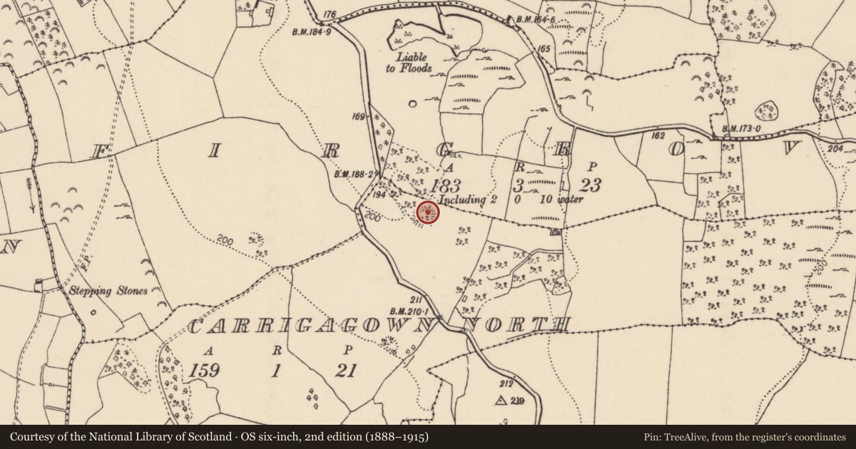 Ordnance Survey six-inch map, 2nd edition (1888–1915) covering the location of Enclosure, Carrigagown North, County Tipperary North, with a pin at the register's coordinates
