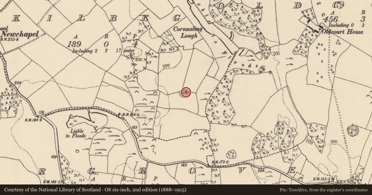 Ordnance Survey six-inch map, 2nd edition (1888–1915) covering the location of Ringfort - rath, Kilbeg (Finnoe Par.), County Tipperary North, with a pin at the register's coordinates