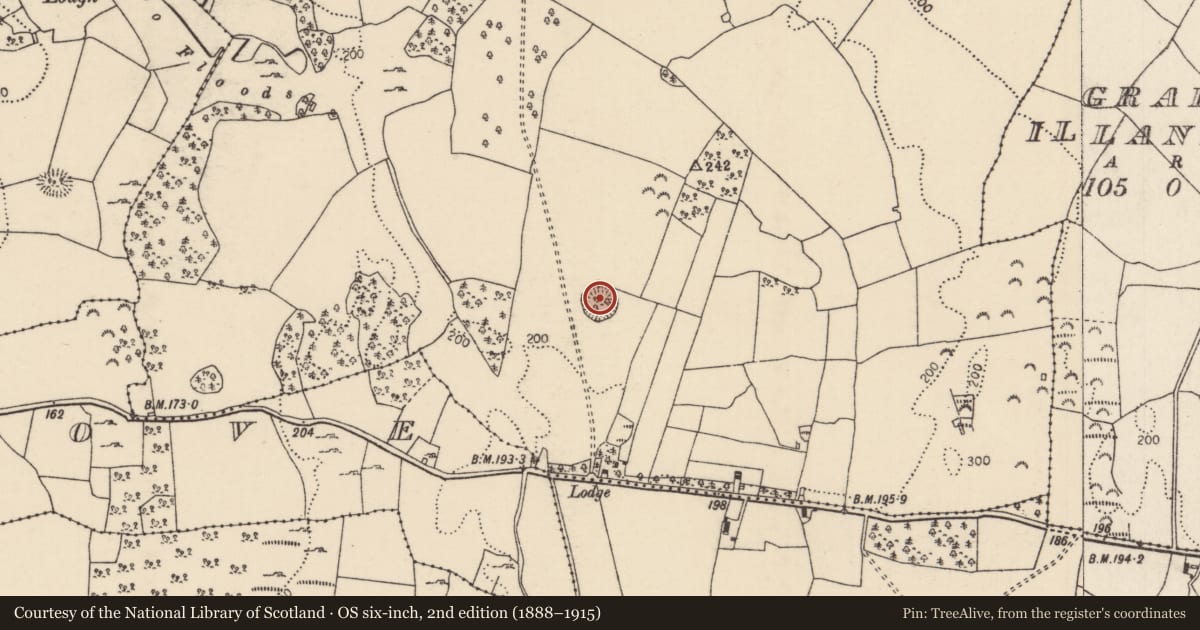 Ordnance Survey six-inch map, 2nd edition (1888–1915) covering the location of Ringfort - cashel, Oldcourt, County Tipperary North, with a pin at the register's coordinates