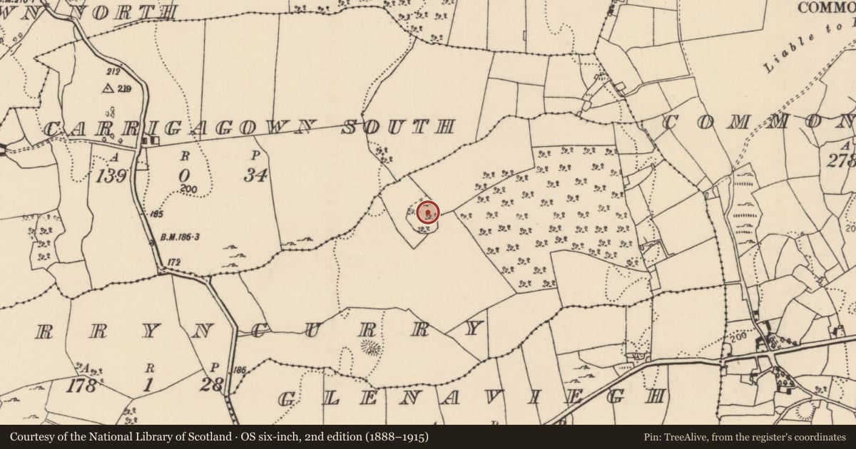 Ordnance Survey six-inch map, 2nd edition (1888–1915) covering the location of Enclosure, Garryncurry, County Tipperary North, with a pin at the register's coordinates