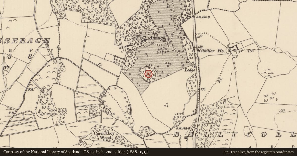 Ordnance Survey six-inch map, 2nd edition (1888–1915) covering the location of Enclosure, Kilbiller, County Tipperary North, with a pin at the register's coordinates