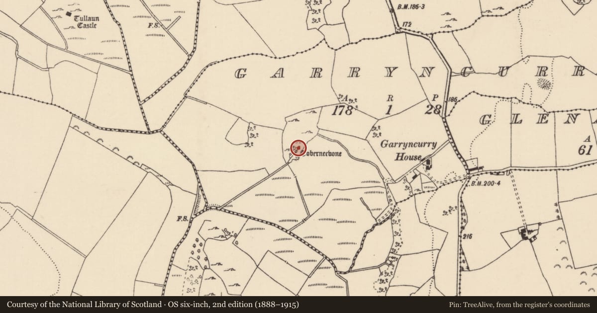 Ordnance Survey six-inch map, 2nd edition (1888–1915) covering the location of Ritual site - holy well, Garryncurry, County Tipperary North, with a pin at the register's coordinates