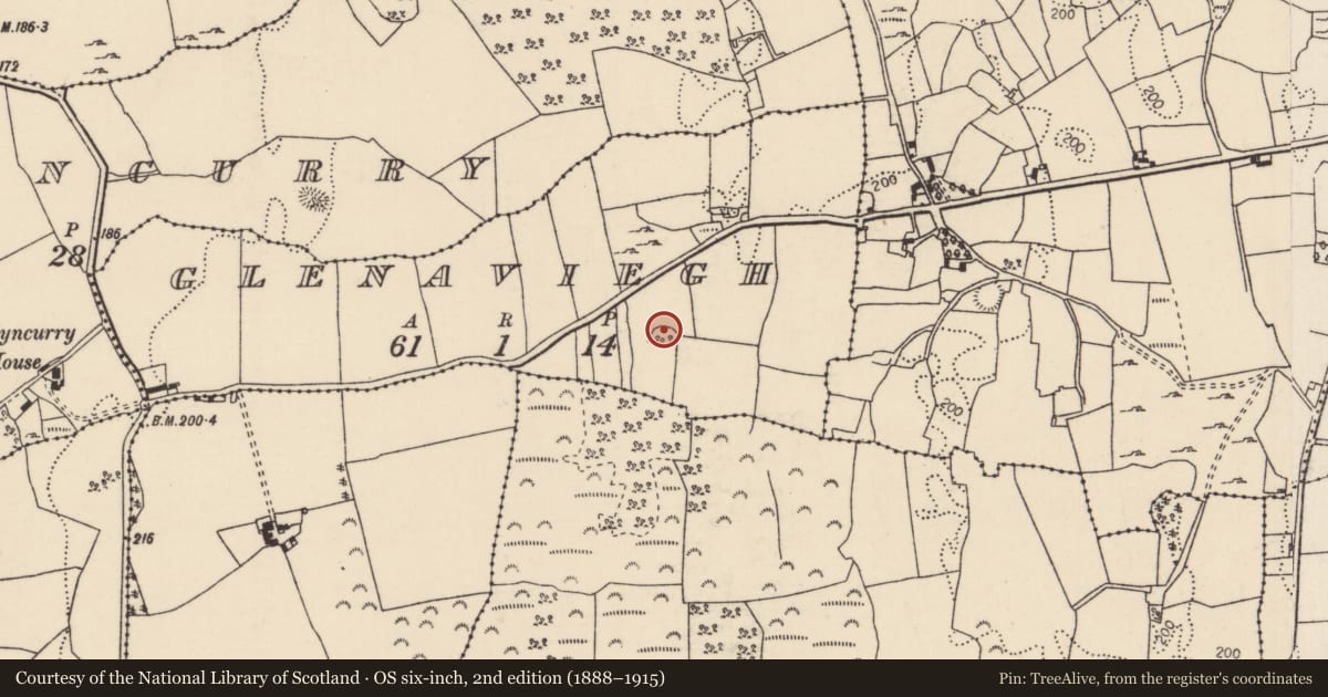 Ordnance Survey six-inch map, 2nd edition (1888–1915) covering the location of Enclosure, Glenaviegh, County Tipperary North, with a pin at the register's coordinates
