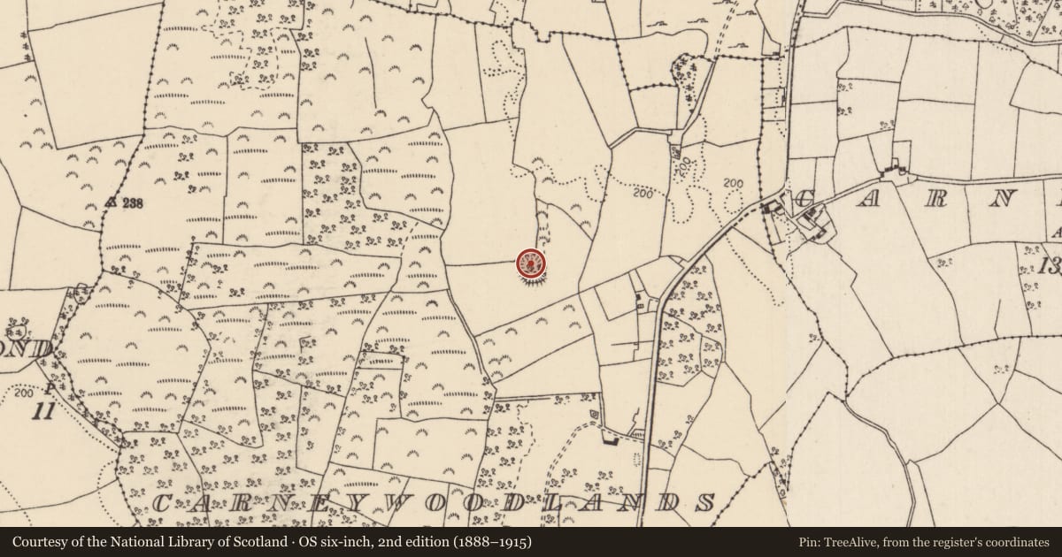 Ordnance Survey six-inch map, 2nd edition (1888–1915) covering the location of Enclosure, Carneywoodlands, County Tipperary North, with a pin at the register's coordinates