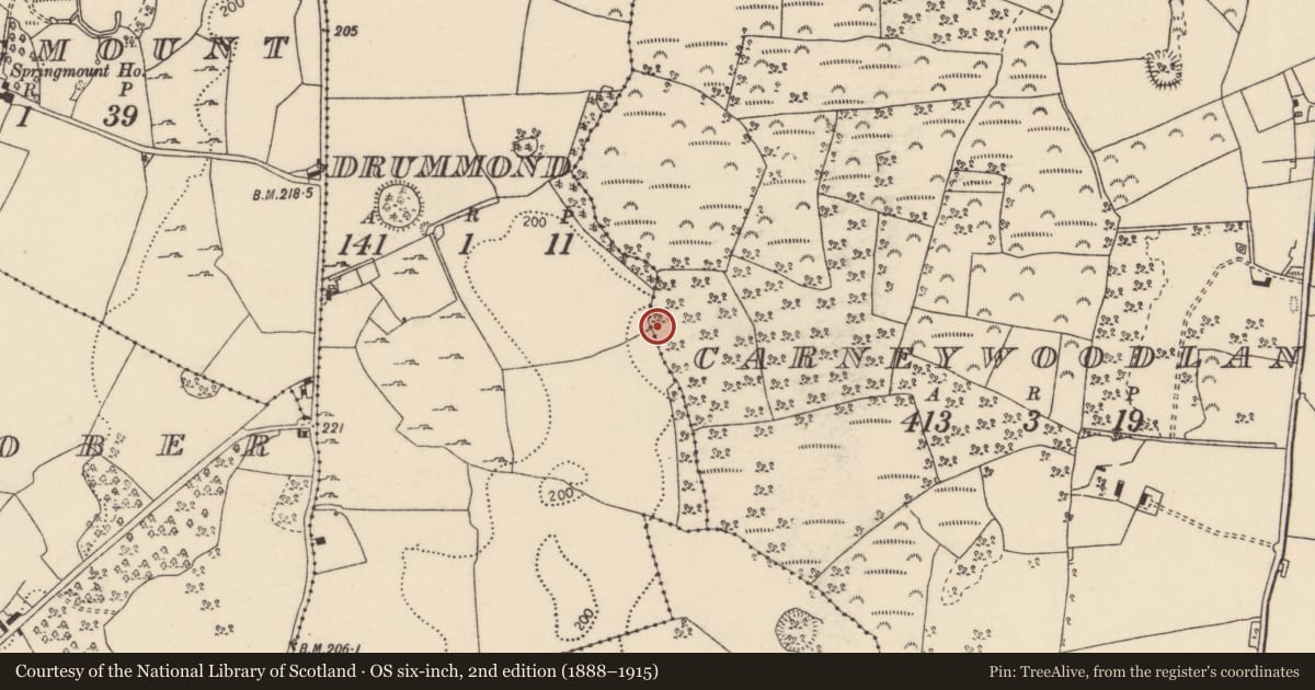 Ordnance Survey six-inch map, 2nd edition (1888–1915) covering the location of Enclosure, Carneywoodlands, Drummond, County Tipperary North, with a pin at the register's coordinates