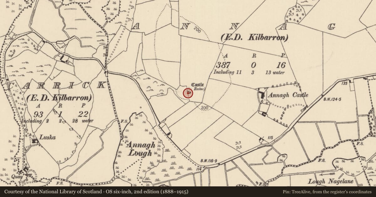 Ordnance Survey six-inch map, 2nd edition (1888–1915) covering the location of Castle - tower house, Annagh (Kilbarron Par.), County Tipperary North, with a pin at the register's coordinates
