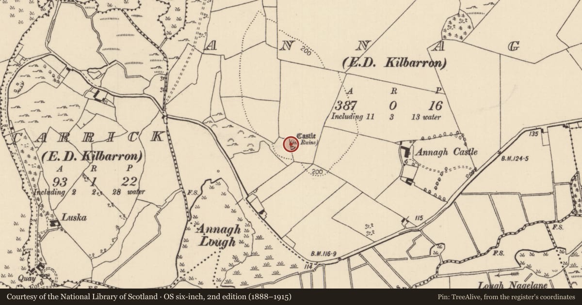 Ordnance Survey six-inch map, 2nd edition (1888–1915) covering the location of Settlement deserted - medieval, Annagh (Kilbarron Par.), County Tipperary North, with a pin at the register's coordinates