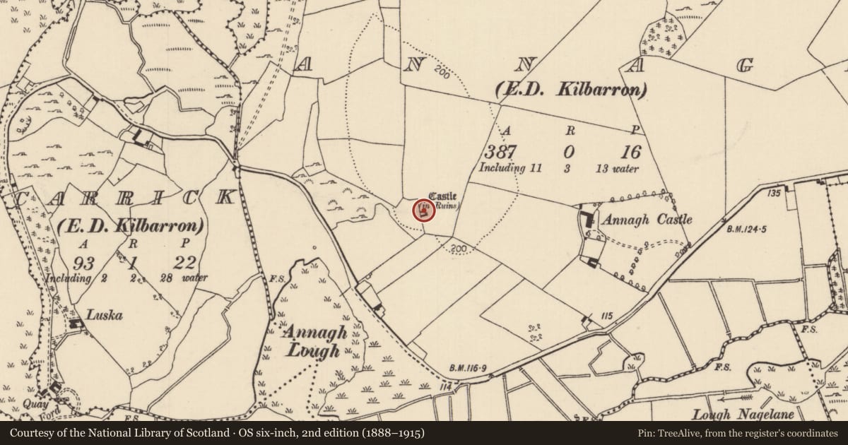 Ordnance Survey six-inch map, 2nd edition (1888–1915) covering the location of Bawn, Annagh (Kilbarron Par.), County Tipperary North, with a pin at the register's coordinates