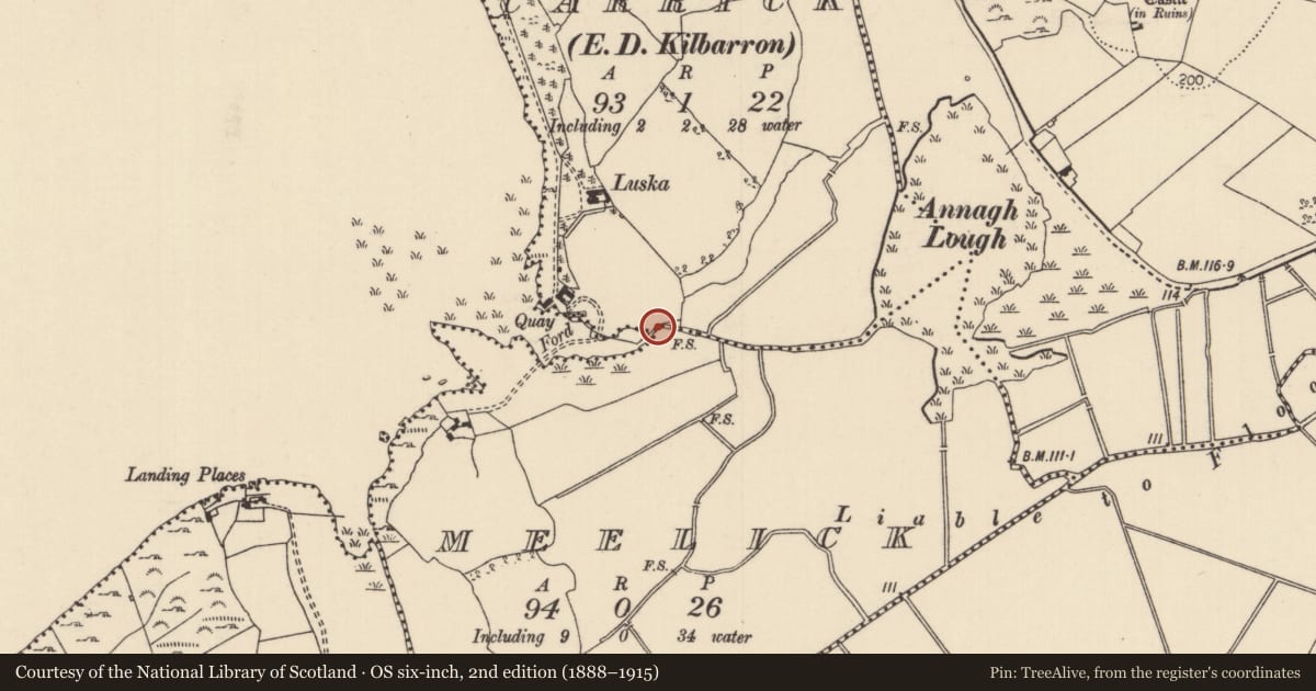 Ordnance Survey six-inch map, 2nd edition (1888–1915) covering the location of Crannog, Carrick (Kilbarron Par.), Meelick, County Tipperary North, with a pin at the register's coordinates