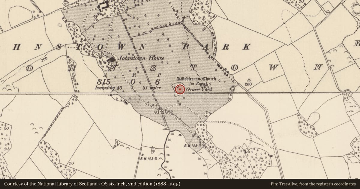 Ordnance Survey six-inch map, 2nd edition (1888–1915) covering the location of Graveyard, Johnstown, County Tipperary North, with a pin at the register's coordinates