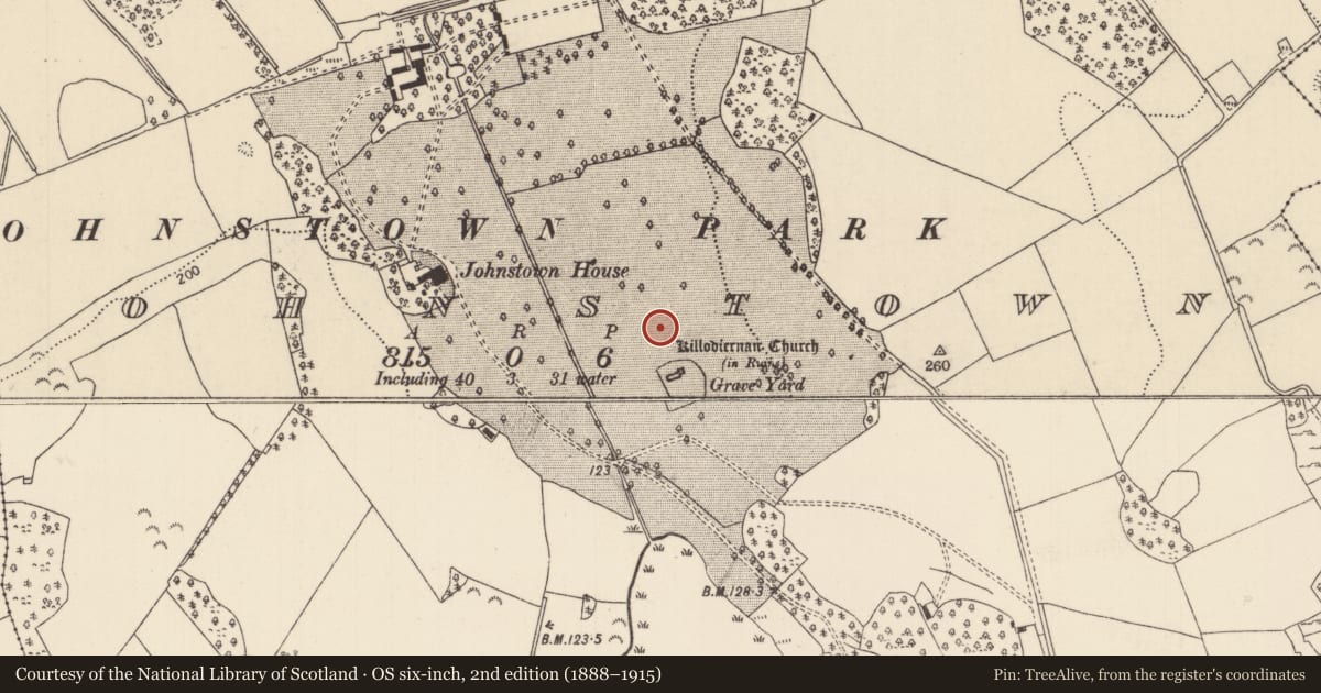 Ordnance Survey six-inch map, 2nd edition (1888–1915) covering the location of Ecclesiastical enclosure, Johnstown, County Tipperary North, with a pin at the register's coordinates