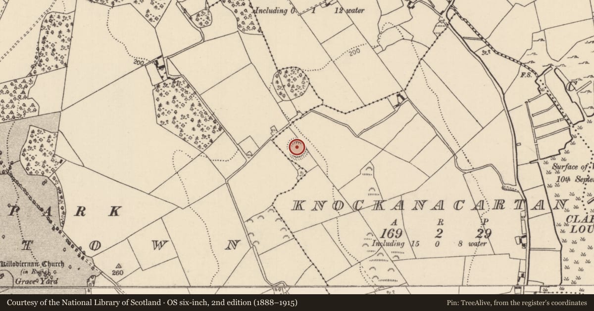 Ordnance Survey six-inch map, 2nd edition (1888–1915) covering the location of Ringfort - rath, Knockanacartan, County Tipperary North, with a pin at the register's coordinates