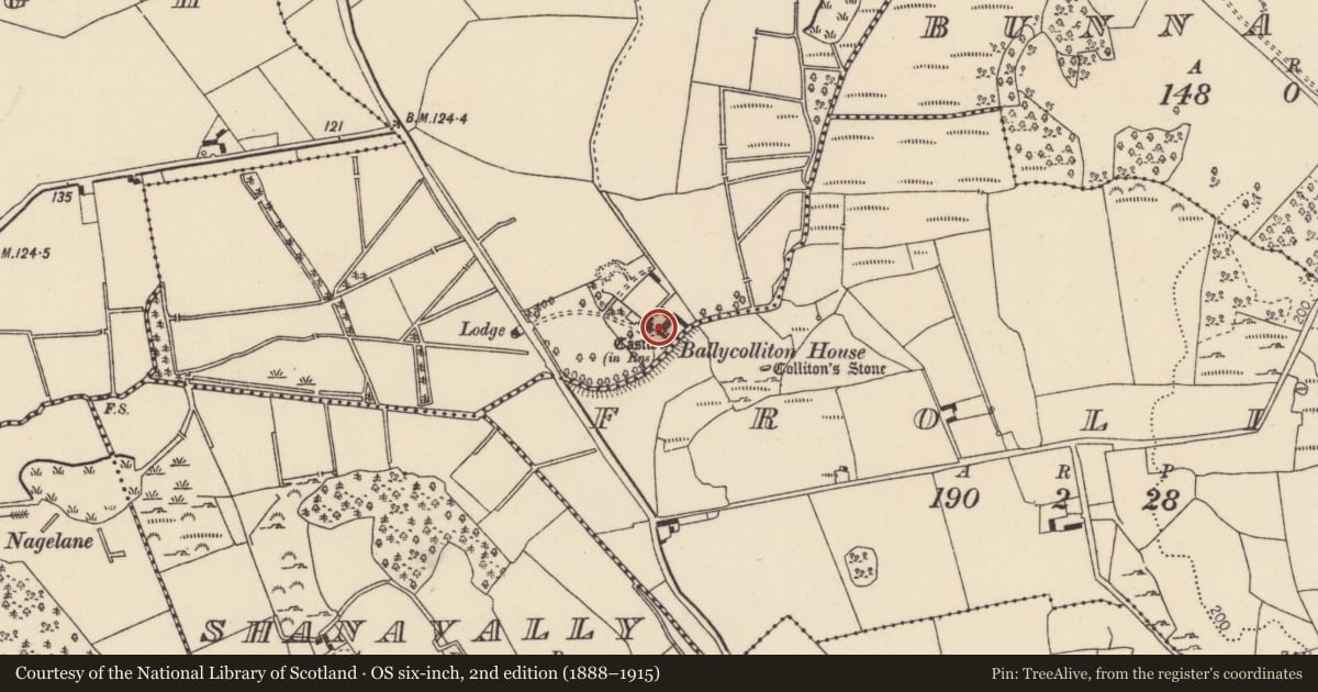 Ordnance Survey six-inch map, 2nd edition (1888–1915) covering the location of Castle - tower house, Ballycolliton, County Tipperary North, with a pin at the register's coordinates