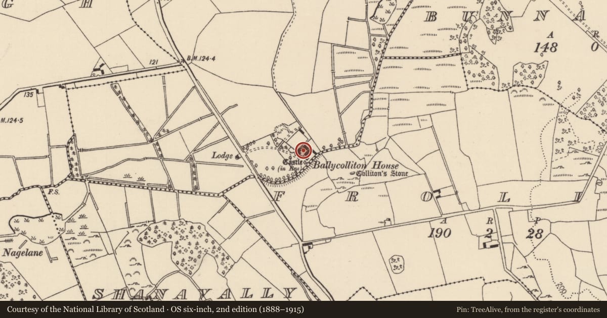 Ordnance Survey six-inch map, 2nd edition (1888–1915) covering the location of Settlement deserted - medieval, Ballycolliton, County Tipperary North, with a pin at the register's coordinates