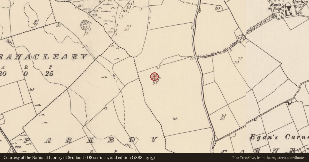 Ordnance Survey six-inch map, 2nd edition (1888–1915) covering the location of Enclosure, Carneywoodlands, County Tipperary North, with a pin at the register's coordinates