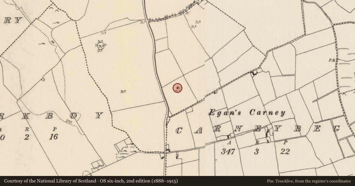 Ordnance Survey six-inch map, 2nd edition (1888–1915) covering the location of Enclosure, Carneywoodlands, County Tipperary North, with a pin at the register's coordinates