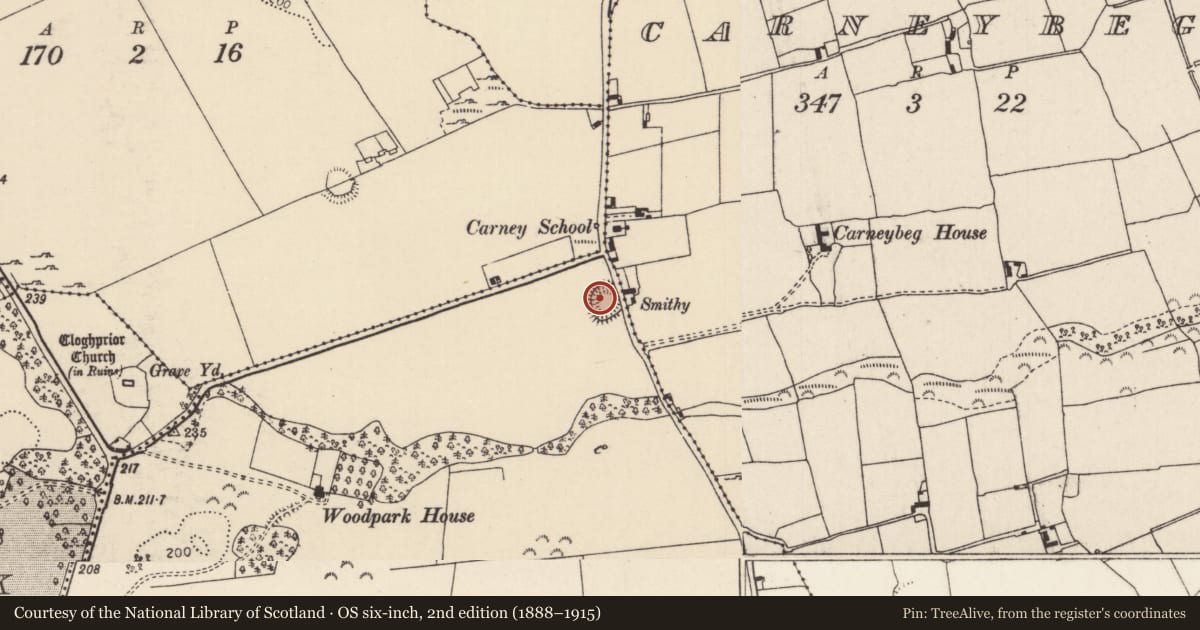 Ordnance Survey six-inch map, 2nd edition (1888–1915) covering the location of Enclosure, Woodpark, County Tipperary North, with a pin at the register's coordinates