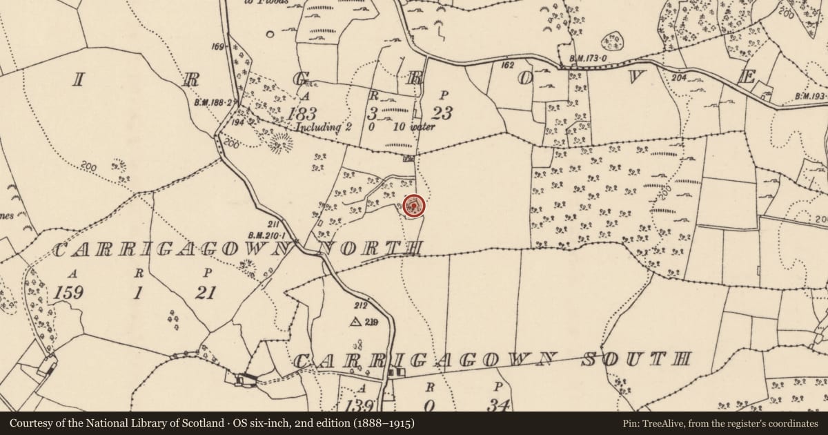 Ordnance Survey six-inch map, 2nd edition (1888–1915) covering the location of Burial ground, Carrigagown North, County Tipperary North, with a pin at the register's coordinates