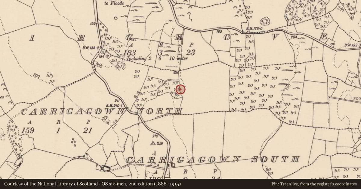 Ordnance Survey six-inch map, 2nd edition (1888–1915) covering the location of Bullaun stone, Carrigagown North, County Tipperary North, with a pin at the register's coordinates