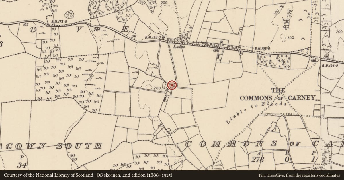 Ordnance Survey six-inch map, 2nd edition (1888–1915) covering the location of Bullaun stone, Carrigagown North, Commons of Carney, County Tipperary North, with a pin at the register's coordinates