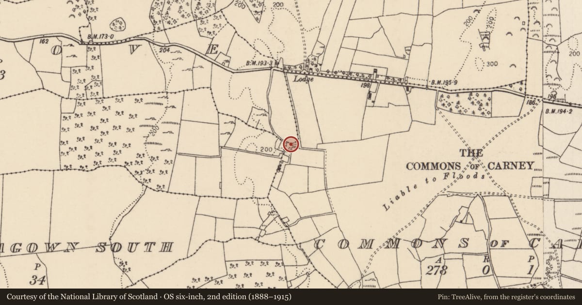 Ordnance Survey six-inch map, 2nd edition (1888–1915) covering the location of Bullaun stone, Carrigagown North, Commons of Carney, County Tipperary North, with a pin at the register's coordinates