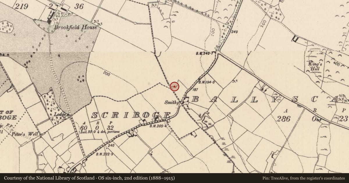 Ordnance Survey six-inch map, 2nd edition (1888–1915) covering the location of Children's burial ground, Mota, County Tipperary North, with a pin at the register's coordinates