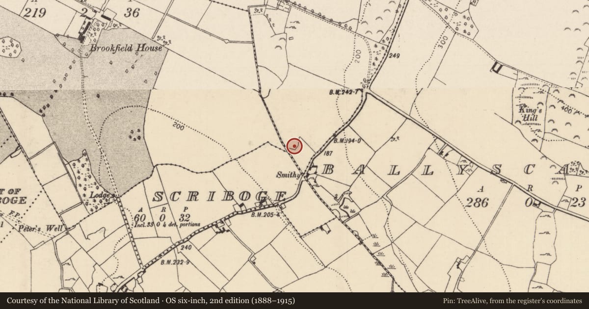 Ordnance Survey six-inch map, 2nd edition (1888–1915) covering the location of Bullaun stone, Mota, County Tipperary North, with a pin at the register's coordinates