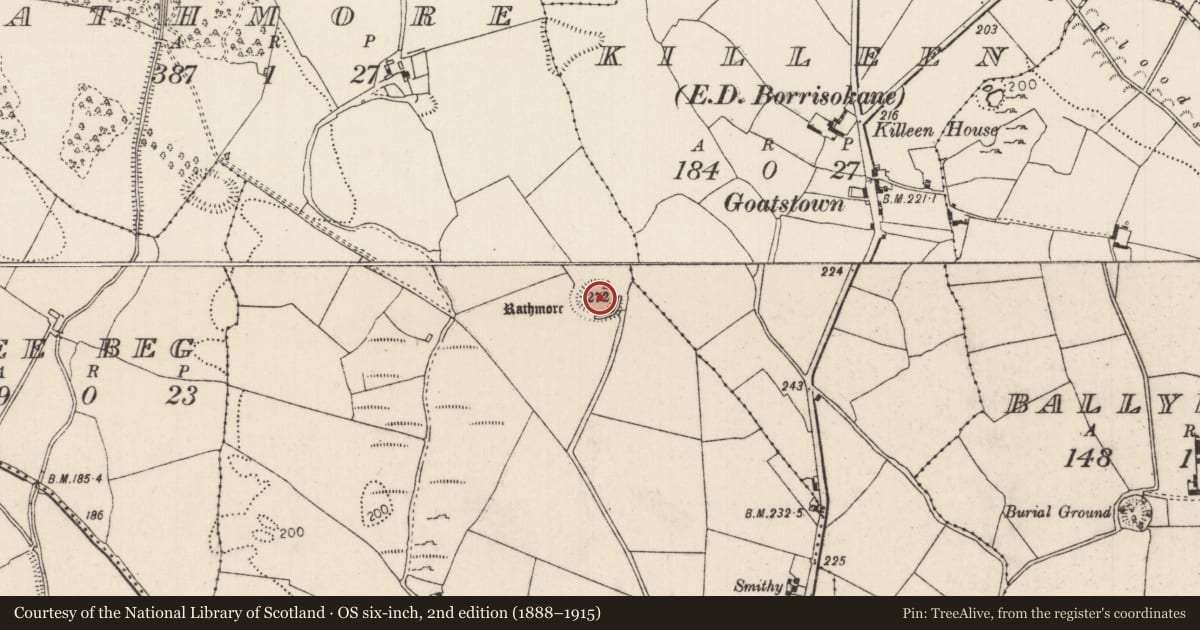 Ordnance Survey six-inch map, 2nd edition (1888–1915) covering the location of Ringfort - rath, Rathmore (Borrisokane Par.), County Tipperary North, with a pin at the register's coordinates