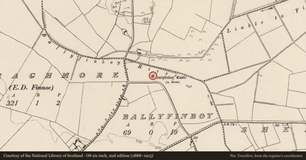 Ordnance Survey six-inch map, 2nd edition (1888–1915) covering the location of Castle - tower house, Ballyfinboy, County Tipperary North, with a pin at the register's coordinates
