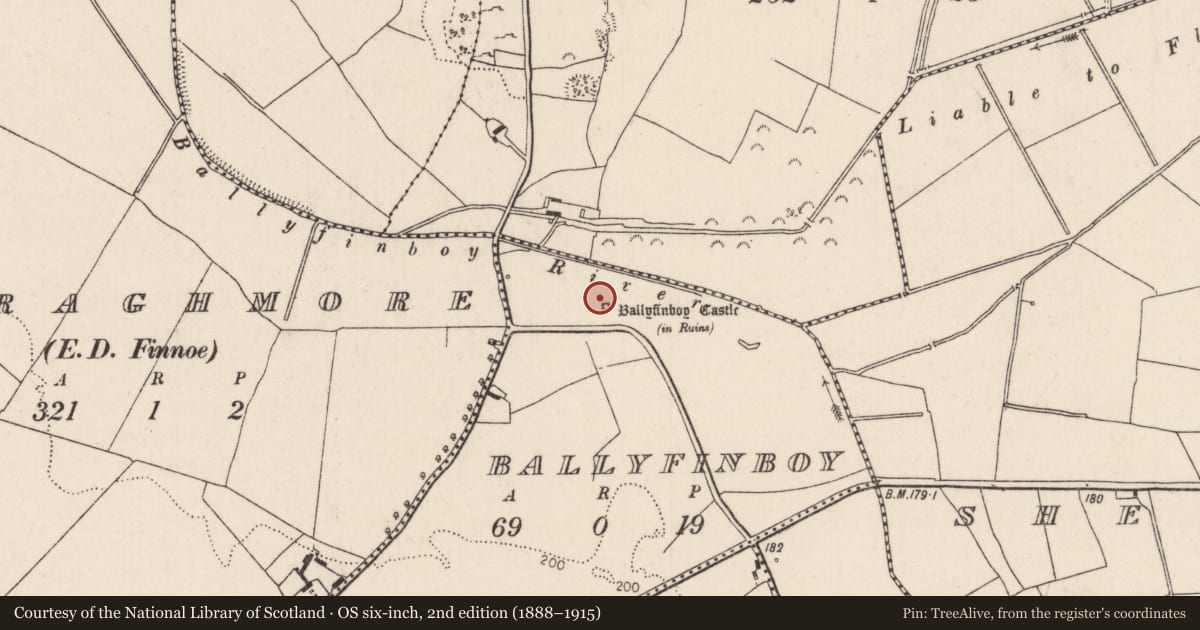 Ordnance Survey six-inch map, 2nd edition (1888–1915) covering the location of Sheela-na-gig, Ballyfinboy, County Tipperary North, with a pin at the register's coordinates