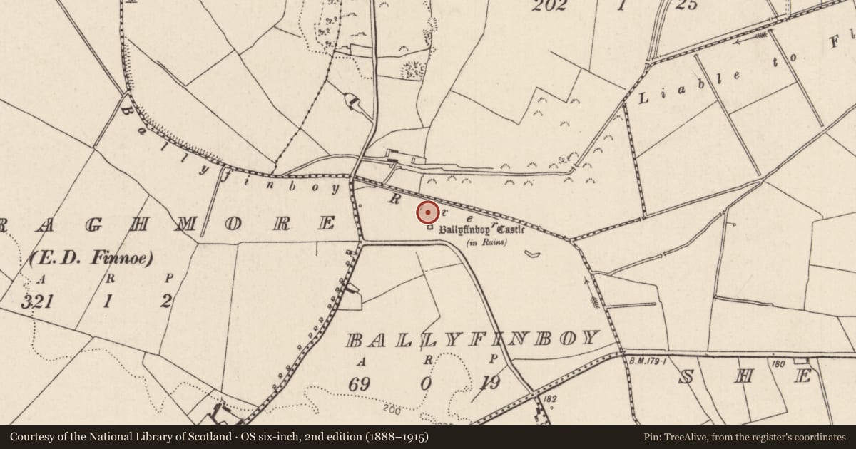 Ordnance Survey six-inch map, 2nd edition (1888–1915) covering the location of Settlement deserted - medieval, Ballyfinboy, County Tipperary North, with a pin at the register's coordinates