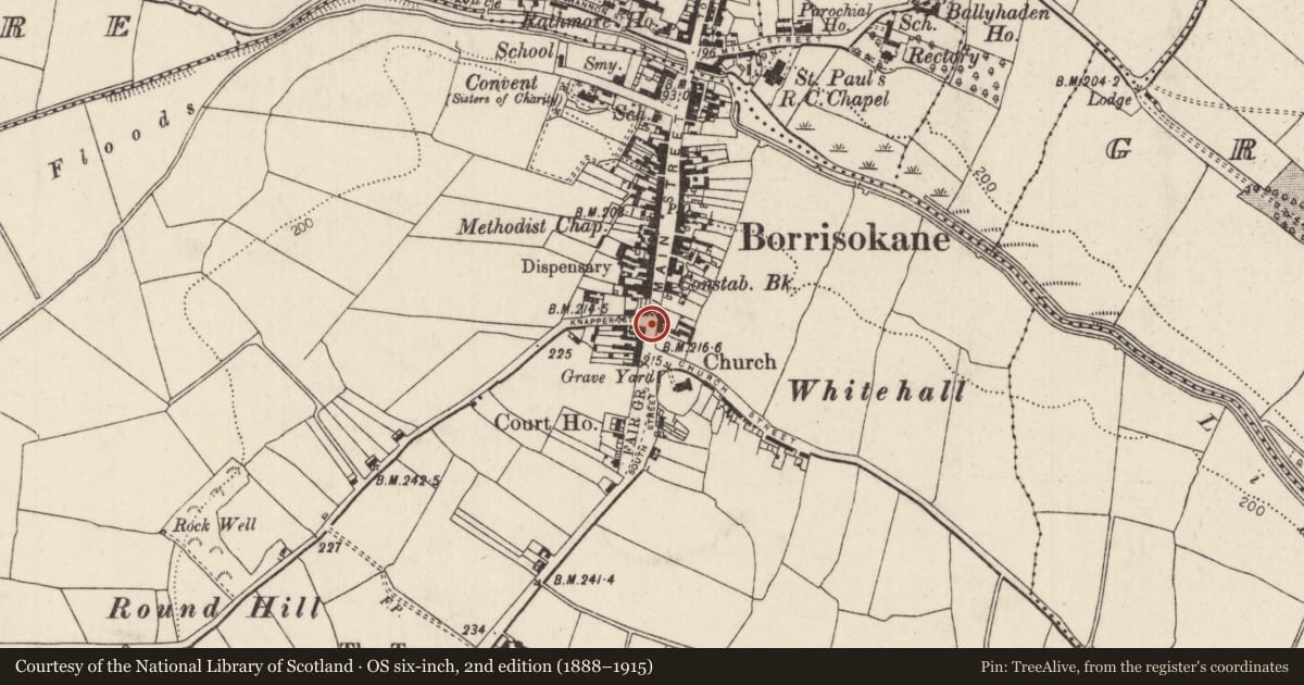 Ordnance Survey six-inch map, 2nd edition (1888–1915) covering the location of Historic town, Shesheraghmore, County Tipperary North, with a pin at the register's coordinates