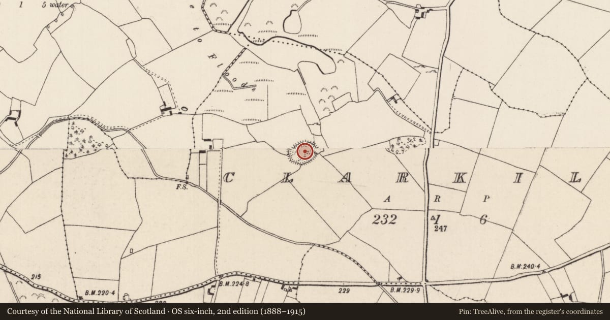 Ordnance Survey six-inch map, 2nd edition (1888–1915) covering the location of Ringfort - rath, Clarkill, County Tipperary North, with a pin at the register's coordinates