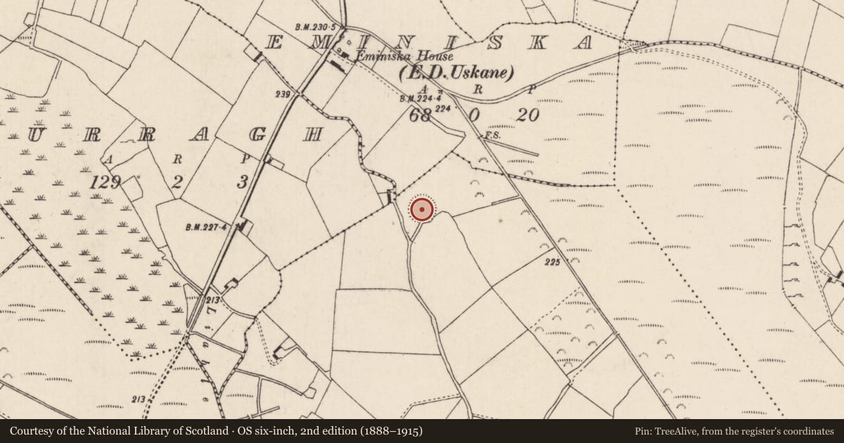 Ordnance Survey six-inch map, 2nd edition (1888–1915) covering the location of Enclosure, Drumnamahane, County Tipperary North, with a pin at the register's coordinates