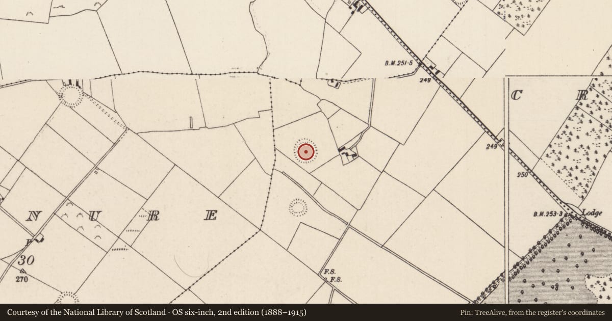 Ordnance Survey six-inch map, 2nd edition (1888–1915) covering the location of Enclosure, Sopwell, County Tipperary North, with a pin at the register's coordinates
