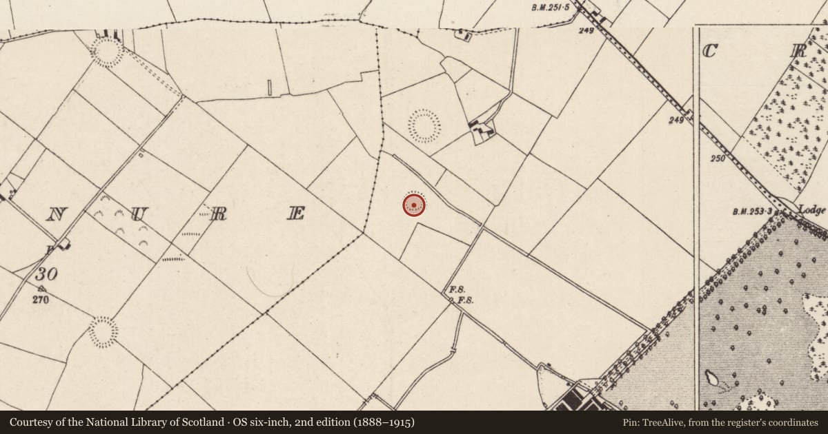 Ordnance Survey six-inch map, 2nd edition (1888–1915) covering the location of Castle - ringwork, Sopwell, County Tipperary North, with a pin at the register's coordinates