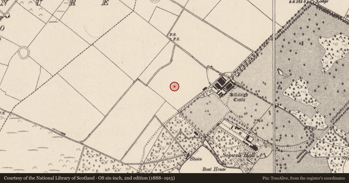 Ordnance Survey six-inch map, 2nd edition (1888–1915) covering the location of Enclosure, Sopwell, County Tipperary North, with a pin at the register's coordinates