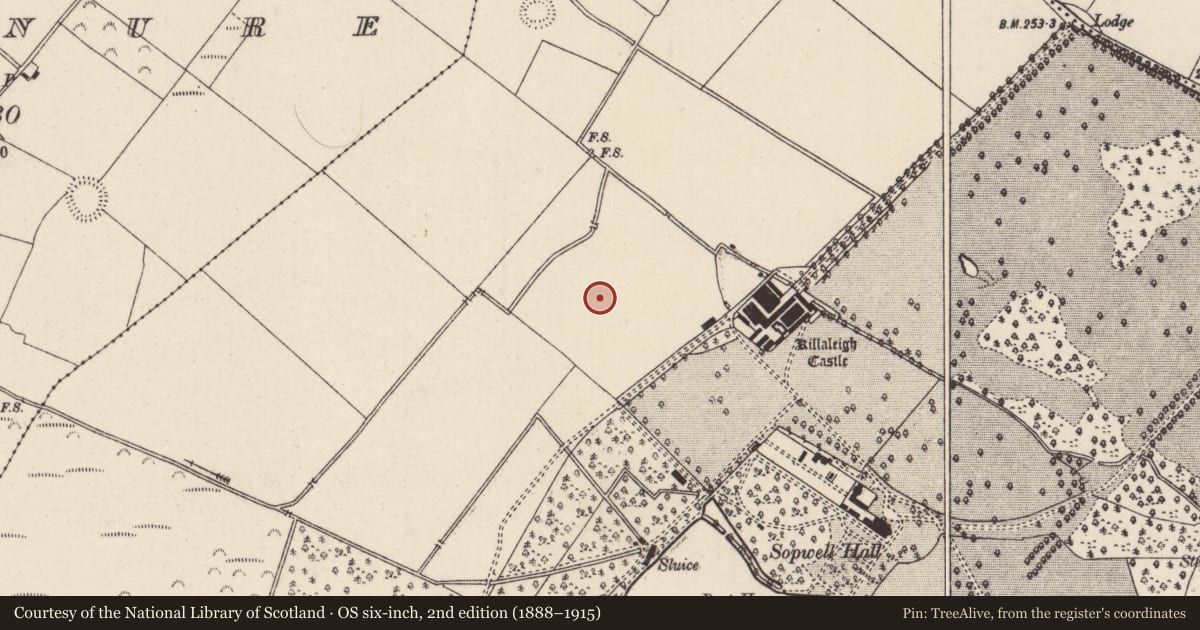 Ordnance Survey six-inch map, 2nd edition (1888–1915) covering the location of Linear earthwork, Sopwell, County Tipperary North, with a pin at the register's coordinates