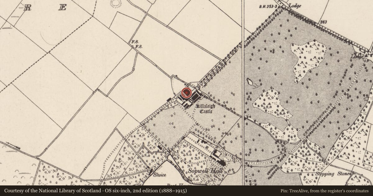 Ordnance Survey six-inch map, 2nd edition (1888–1915) covering the location of Bawn, Sopwell, County Tipperary North, with a pin at the register's coordinates